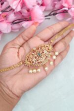 Premium Peacock Designer Chocker - Image 2